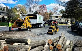 Best Lawn Disease Treatment  in Monson Center, MA
